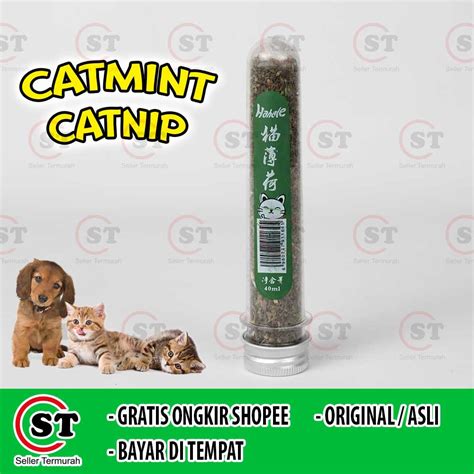 Jual Catnip Cat Catnip Refill Catnip Serbuk Alami Natural Powder