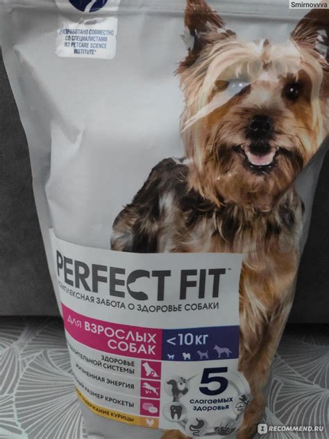 Корм для собак Perfect fit Adult 1+ - «Здоровье питомца под контролем ...
