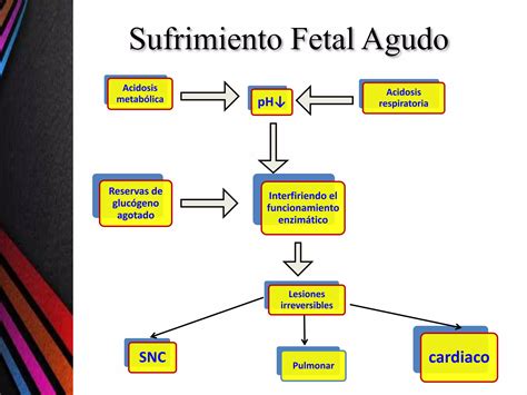 Sufrimiento Fetal Agudo Ppt