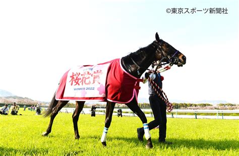 東スポ競馬 On Twitter 桜咲く🌸 スターズオンアース 桜花賞 東スポ競馬 競馬 Pog