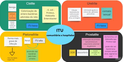 ITU resumo mapa geral e básico de diferenciação e aproximação entre