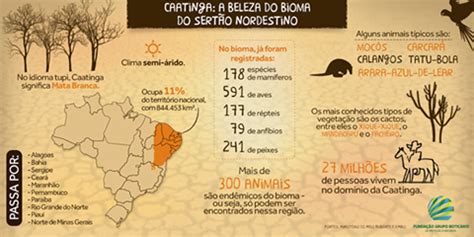 Blog Lajes Do Cabugi Alguns Dados Sobre A Caatinga Esse T O