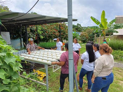 Fic Veraguas Visita Viveros Del Ipta Alto De Piedra Universidad