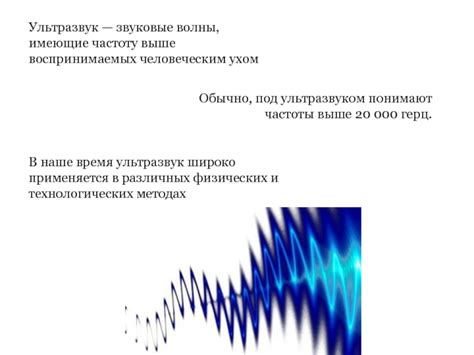 Ультразвук в природе