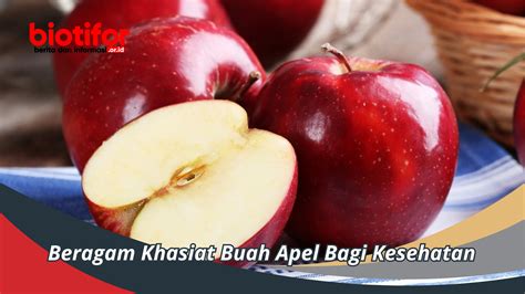 Beragam Khasiat Buah Apel Bagi Kesehatan Biotifor