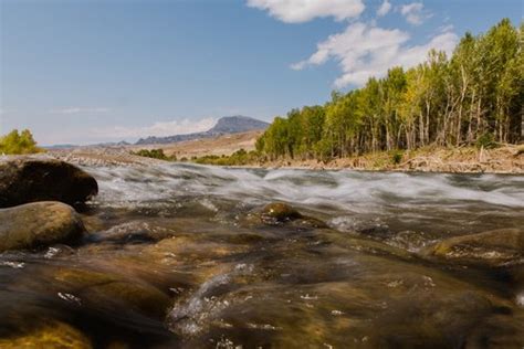 Resources For Cody WY — North Fork Anglers