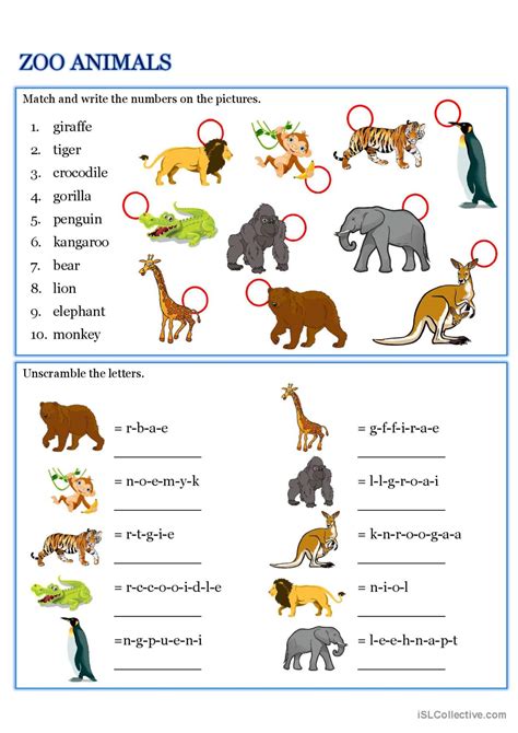 Zoo Animals Vocabulary Exercise For English Esl Worksheets Pdf And Doc