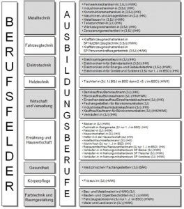 bso_berufsschule_überblick - Berufliches Schulzentrum Odenwaldkreis (AöR)