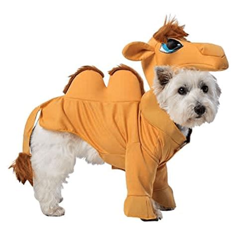 Rasta Imposta Costume Camel » Dogfather and Co. | Dog Grooming and