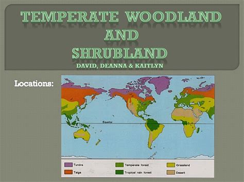 Temperate Woodland And Shrubland Biome