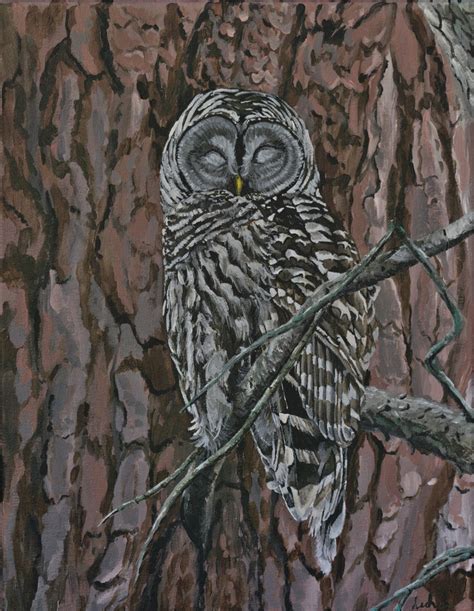 Owl Glow-in-the-dark Acrylic Painting 11x14 Stretched Canvas Original ...