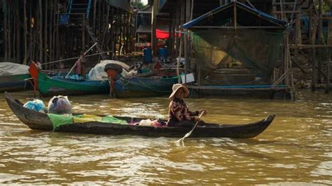 From Siem Reap Kampong Phluk Floating Village Tour By Boat GetYourGuide