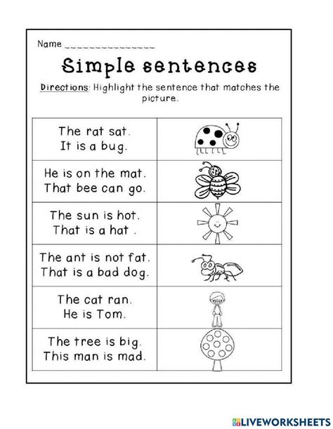 Cvc Words Sentences Worksheet Live Worksheets 59 Off