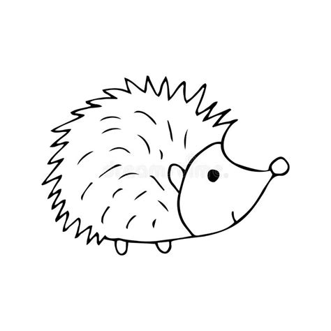 Hedgehog Illustration Black And White