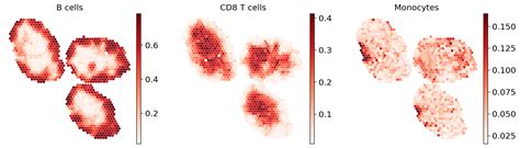 Multi Resolution Deconvolution Of Spatial Transcriptomics Scvi Tools