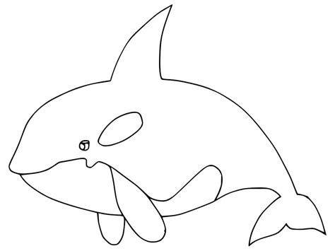Desenho De Orca Para Colorir - 6