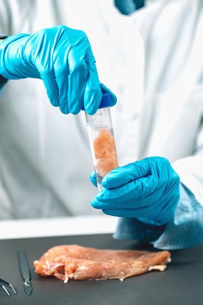 Premium Photo Food Safety Inspection Of Raw Chicken Meat In A Laboratory