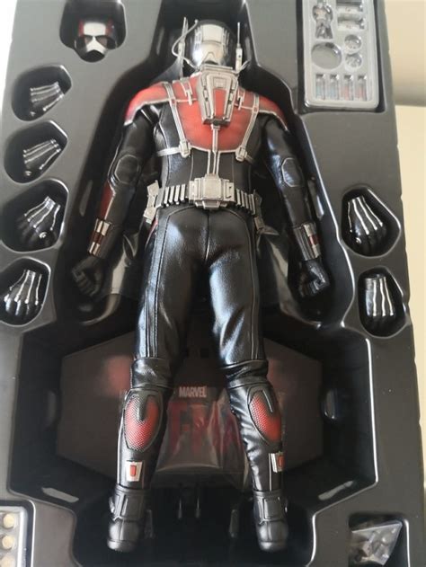 ANT MAN 1 6 Scale Figure MMS308 ANT MAN HOT TOYS Cawette Jones