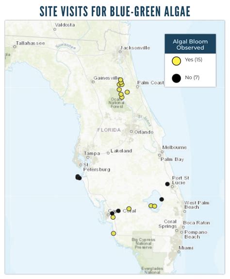 Algae Bloom Florida 2024 Maps - ashlee jasmine