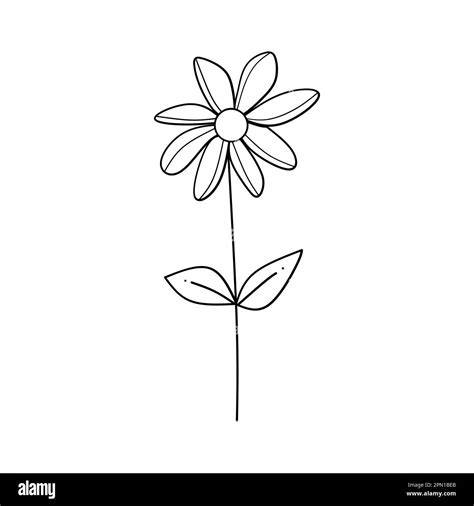 Cute Flower Botanical Floral Vector Illustration Outline Hand Drawn