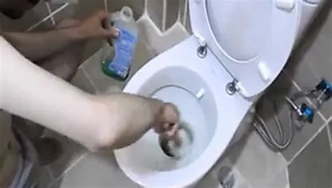 Turkish BDSM Sahibe Kole Vol Free Porn C XHamster