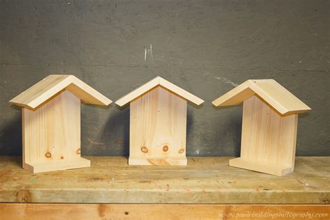 Barn Swallow Nest Platforms • PAUL ROEDDING PHOTOGRAPHY