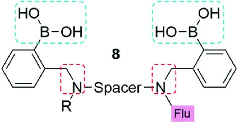 The General Structure Of The Boronic Acid Based Glucose Sensors Used