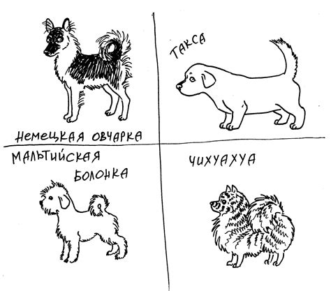 Атлас пород народной селекции-2 / Marika Stanovoi