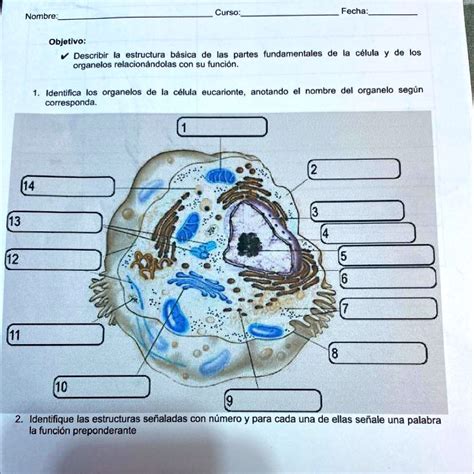 Me Ayudan Plzzzzzz Curso Fecha Nombre Objetivo Describir Ia