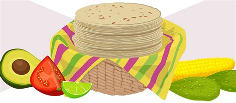 C Mo Identificar Una Tortilla Que No Es De Ma Z Nixtamalizado