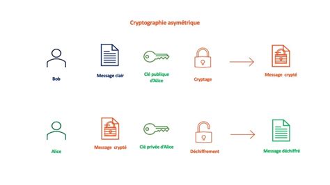 Cryptologie La Science Essentielle De La S Curisation Des Donn Es