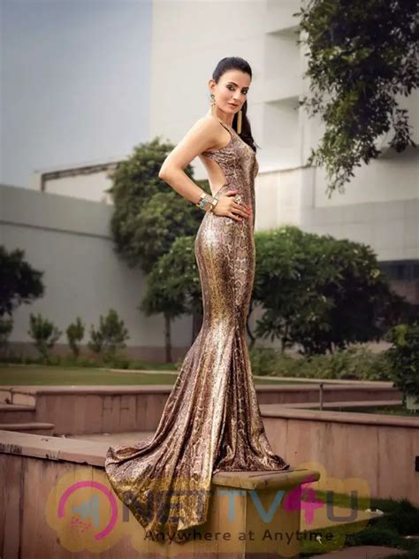 New Hot Photos Of Hindi Actress Ameesha Patel Galleries HD Images
