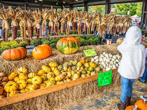 11 Top Farmers Markets In Raleigh (the Locals Love)