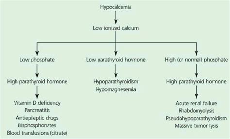 Causes of hypocalcemia | Nursing tips, Nursing study, Nursing school