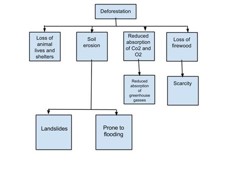 Deforestation And Desertification Venn Diagram Pics For De