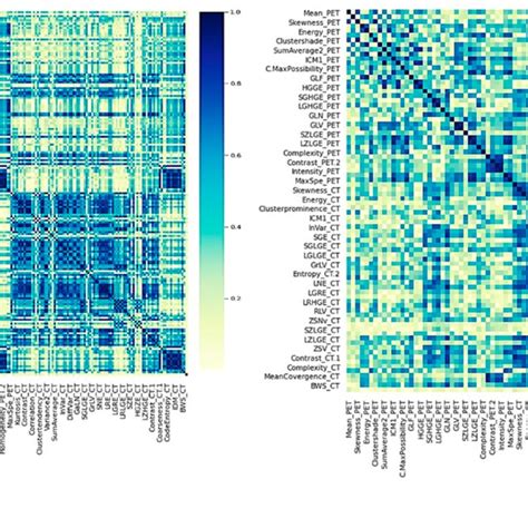 Heatmap Of The Absolute Coefficient Of Spearmans Correlations Between Download Scientific