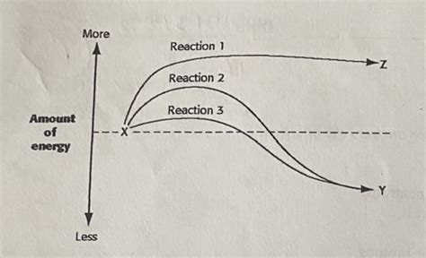 Biology Midterm Important Master Copy Flashcards Quizlet