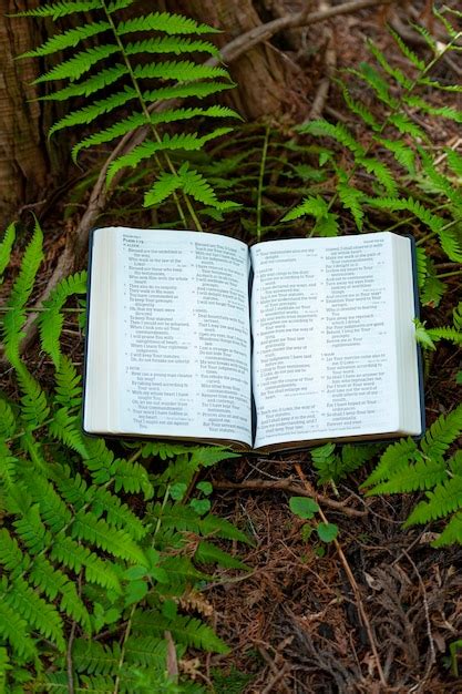 Premium Photo Holy Bible Opened In Psalm 119 Outdoors In Green Foliage