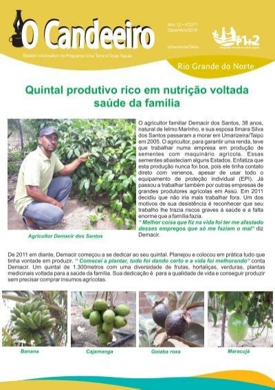 Quintal Produtivo Rico Em Nutri O Voltada Para A Sa De Da Fam Lia