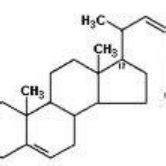 Chemical structure of Stigmasterol | Download Scientific Diagram