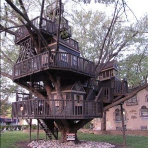 Best Epic Tree Houses Images On Pinterest Tree Houses Wood Cabins