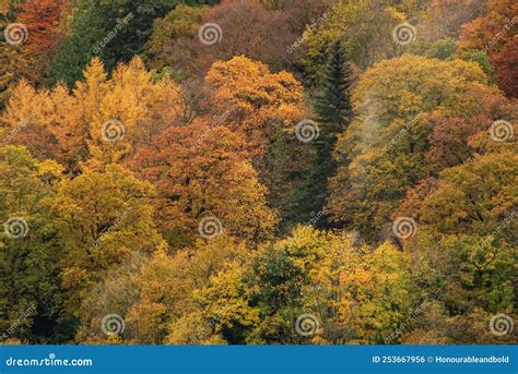 Impresionante Imagen Del Paisaje Del Distrito Del Lago De Los Bosques