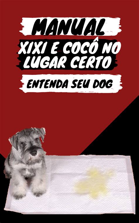 E Book Manual Xixi E Coc No Lugar Certo Gabriel Soares Hotmart