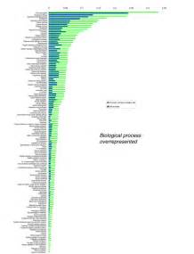 Significantly Over Represented Go Biological Process Terms For The Set