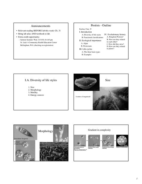 Protists Evolution Ecology And Biodiversity Lecture Slides Docsity