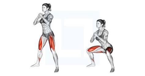 Sumo Squat - Guide, Benefits, and Form