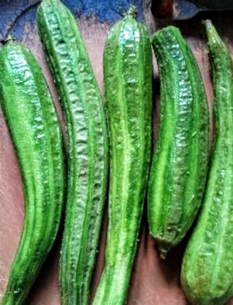 Ridge Gourd Peel Chutney Is A Traditional Maharashtrian Side Dish