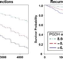 Cox Regression Of OS And RFS Versus HPGD Gene Expression Cox