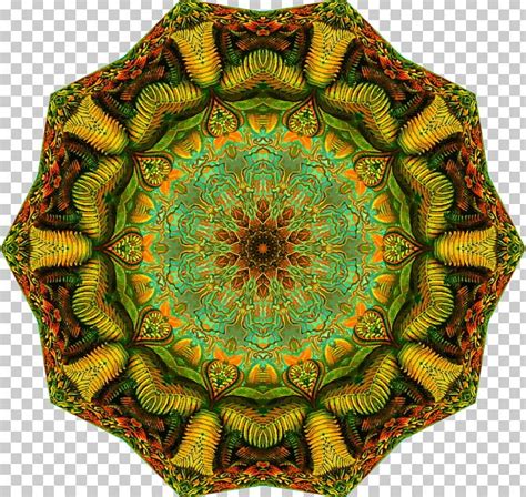 Symmetry Circle Polypodiopsida Ernst Haeckel Pattern PNG, Clipart