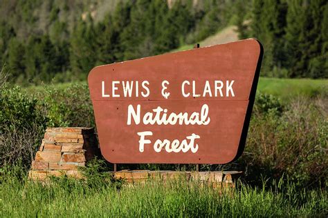 Lewis and Clark National Forest Photograph by Todd Klassy